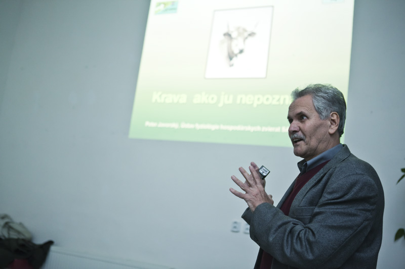 IMG_0203 copy.jpg